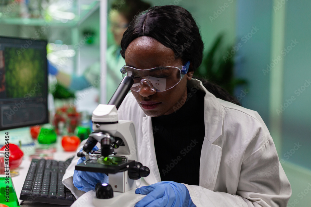 African american botanist looking at leaf sample using medical microscope during biochemistry experiment in biological hospital laboratory. Researcher woman analyzing at genetically modified plant African american botanist looking at leaf sample using medical microscope during biochemistry experiment in biological hospital laboratory. Researcher woman analyzing at genetically modified plant