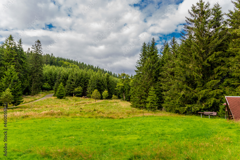 Spätsommerwanderung durch den Thüringer Wald bei Kleinschmalkalden Spätsommerwanderung durch den Thüringer Wald bei Kleinschmalkalden