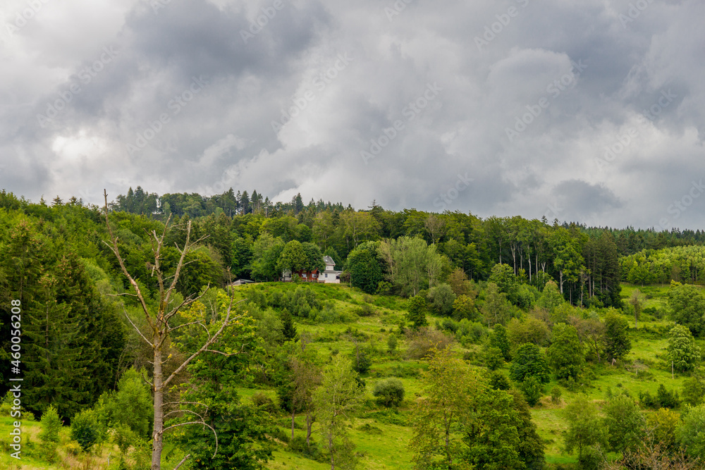 Obraz premium Spätsommerwanderung durch den Thüringer Wald bei Kleinschmalkalden