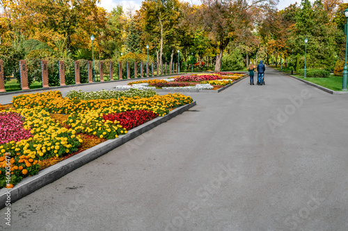 Autumn view of Taras Shevchenko City Garden in Kharkiv (Ukraine). People walk along the alleys among flowering flower beds against the background of yellow-orange trees in the park