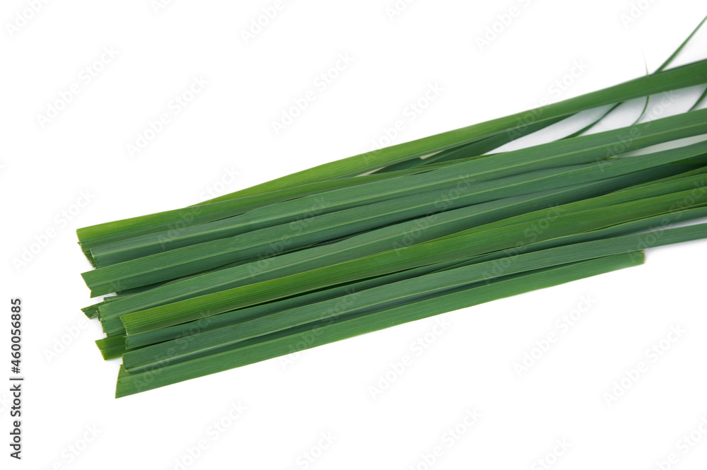 Fresh lemongrass leaves isolated on white background. Fresh lemongrass leaves isolated on white background.