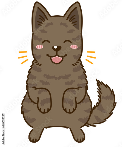 喜ぶ甲斐犬（赤虎毛）