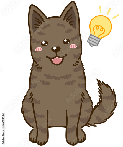 思い付く甲斐犬（赤虎毛）