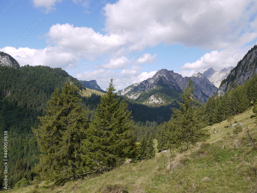 Die Kammerlingalm