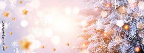 New Year banner with fir br...