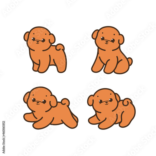 Bichon Frise puppy. Different poses of dog. Vector illustration in cartoon style for poster, postcard.