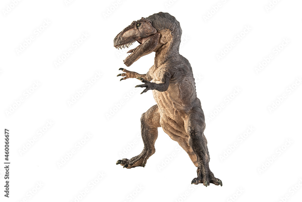 Giganotosaurus Dinosaur on white background Giganotosaurus Dinosaur on white background