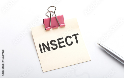 INSECT text on the sticker with pen on the white background