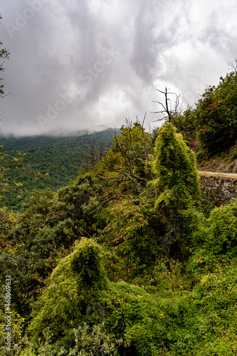 Mountains over the french mountains - Cevennes