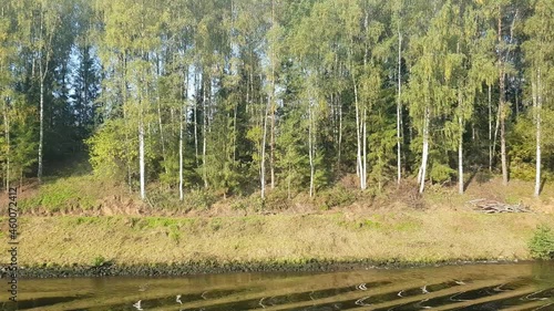 Picturesque river landscape with green trees in early autumn. View from the ship's porthole