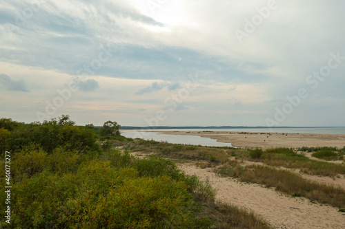 Wallpaper Mural The coastal line of a sandy beach by the Baltic Sea on Sobieszewo Island, Poland, overgrown with high grass and bushes. A small pond next to the shore.The sea is gently waving. A bit of overcast. Torontodigital.ca