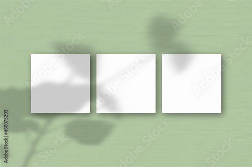 3 square sheets of white textured paper on the green wall background. Mockup overlay with the plant shadows. Natural light casts shadows from the geraniums. Flat lay, top view