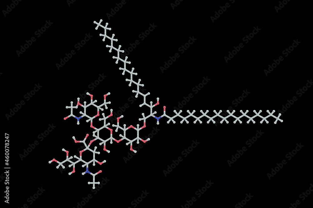 Molecule of Ganglioside GM2 Molecule of Ganglioside GM2
