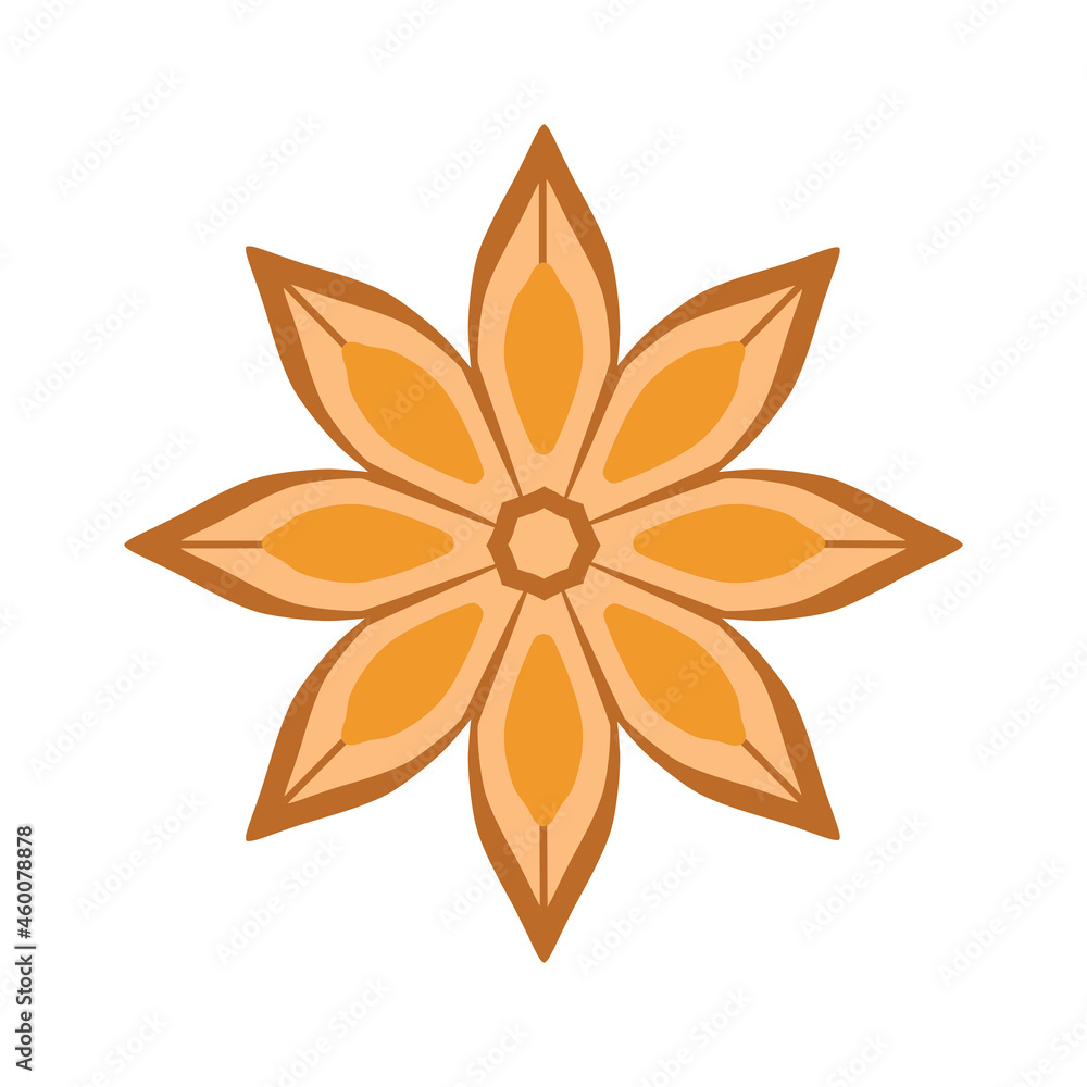 A colored star anise icon. Star anise is real - the fruits of an evergreen tree. Spices and seasonings. Vector illustration isolated on a white background for design and web.