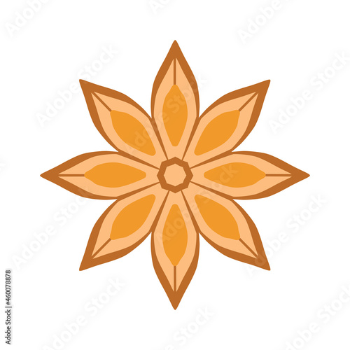 A colored star anise icon. Star anise is real - the fruits of an evergreen tree. Spices and seasonings. Vector illustration isolated on a white background for design and web.