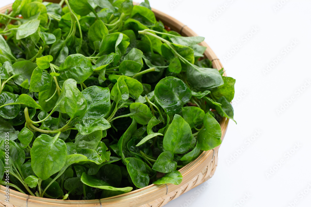 Watercress in bamboo basket on white background Watercress in bamboo basket on white background