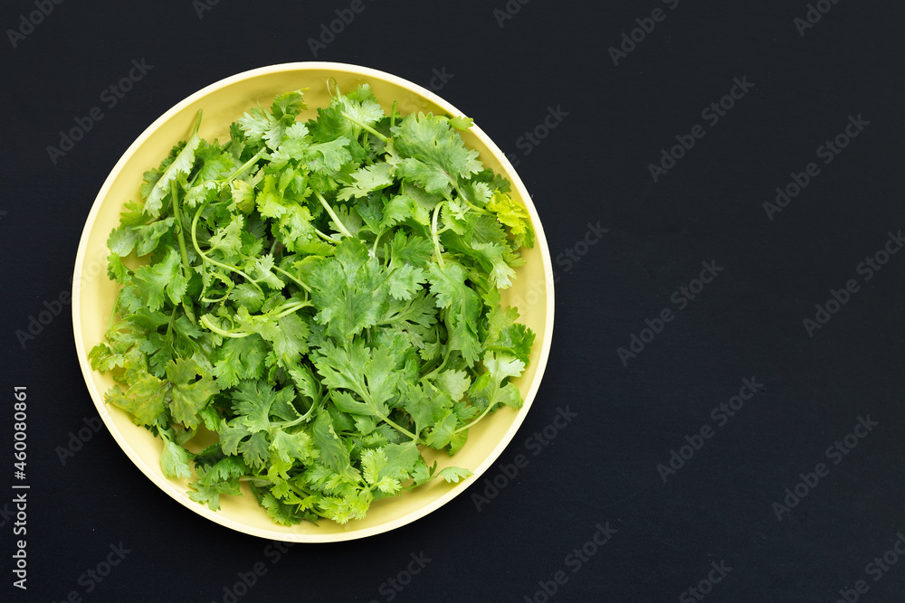 Coriander on yellow plate on white background. Coriander on yellow plate on white background.