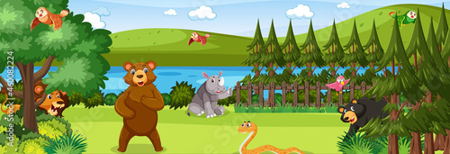 Forest panorama at daytime scene with various wild animals