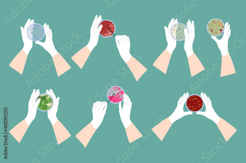 Scientist's hand in glove holding Petri dish, plate with agar, bacterial colony. Bacteriology. Microbiology. Laboratory test, bacteriological swab, chemical analysis. Vector flat cartoon illustration