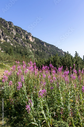 Landscape of Malyovitsa river valley, Rila Mountain, Bulgaria