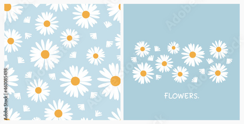 Set of daisy flower seamless pattern on blue backgrounds vector illustration.