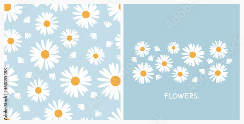 Set of daisy flower seamless pattern on blue backgrounds vector illustration. photo