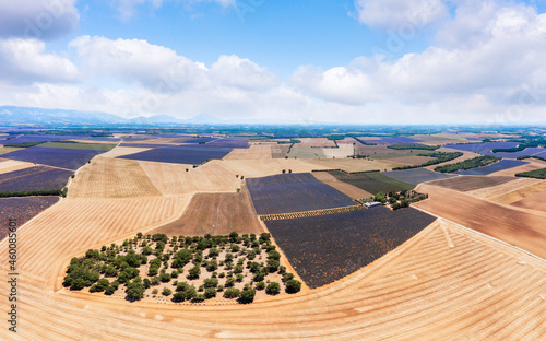 Luftaufnahme, Drohnenfoto von blühenden Lavendelfeldern und Getreidefelder auf dem Plateau de Valensole, Brunet, Alpes-de-Haute-Provence, Frankreich