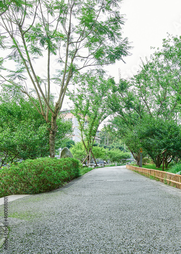 A path in a park in Chengdu  Sichuan  China