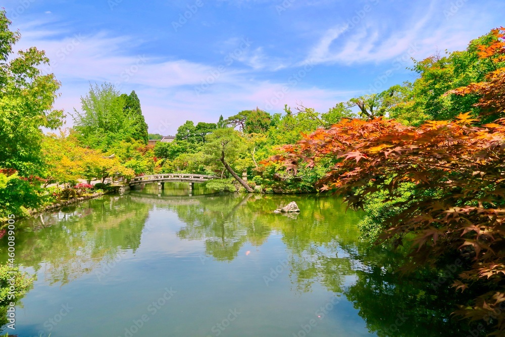 初秋の日本庭園