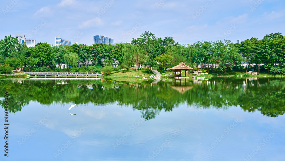 A lake in a park in Chengdu, Sichuan, China