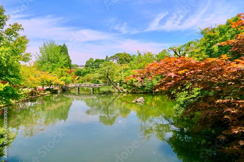 初秋の日本庭園