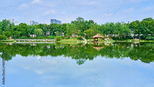 Fototapeta Naklejka Na Ścianę i Meble -  A lake in a park in Chengdu, Sichuan, China