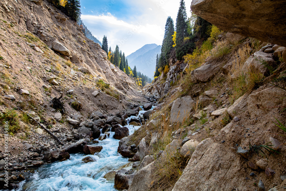 Obraz premium river in the mountains