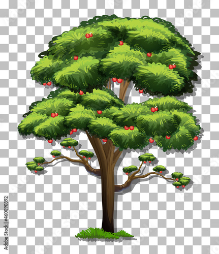 Apple tree on transparent background