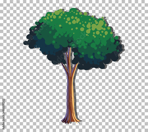 A tree with green leaves on transparent background