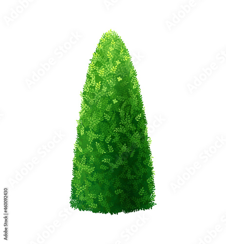 Bush Realistic Illustration