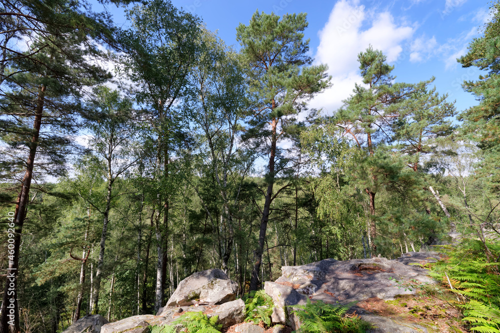 Angennes rocks Point of view in rambouillet forest Angennes rocks Point of view in rambouillet forest