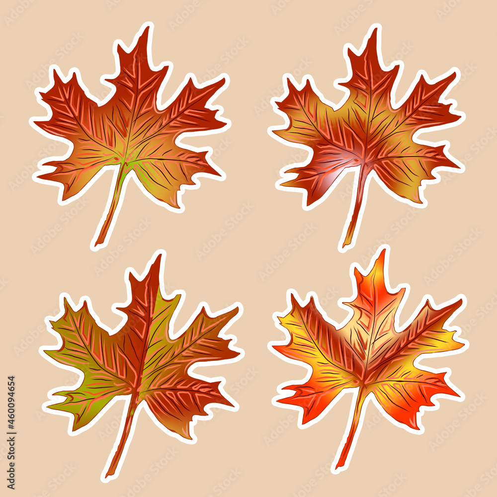 Obraz premium set of different autumn orange leaves isolated on beige background