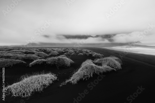 Vestrahorn view from the grass dunes in black and white photo photo