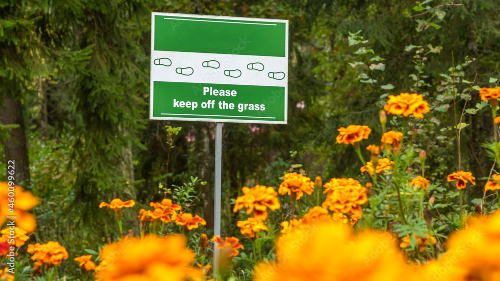 Sign Do Not Walk On The Grass on the defocused yellow flowers on foreground. No Sign Of Trampling The Lawn.