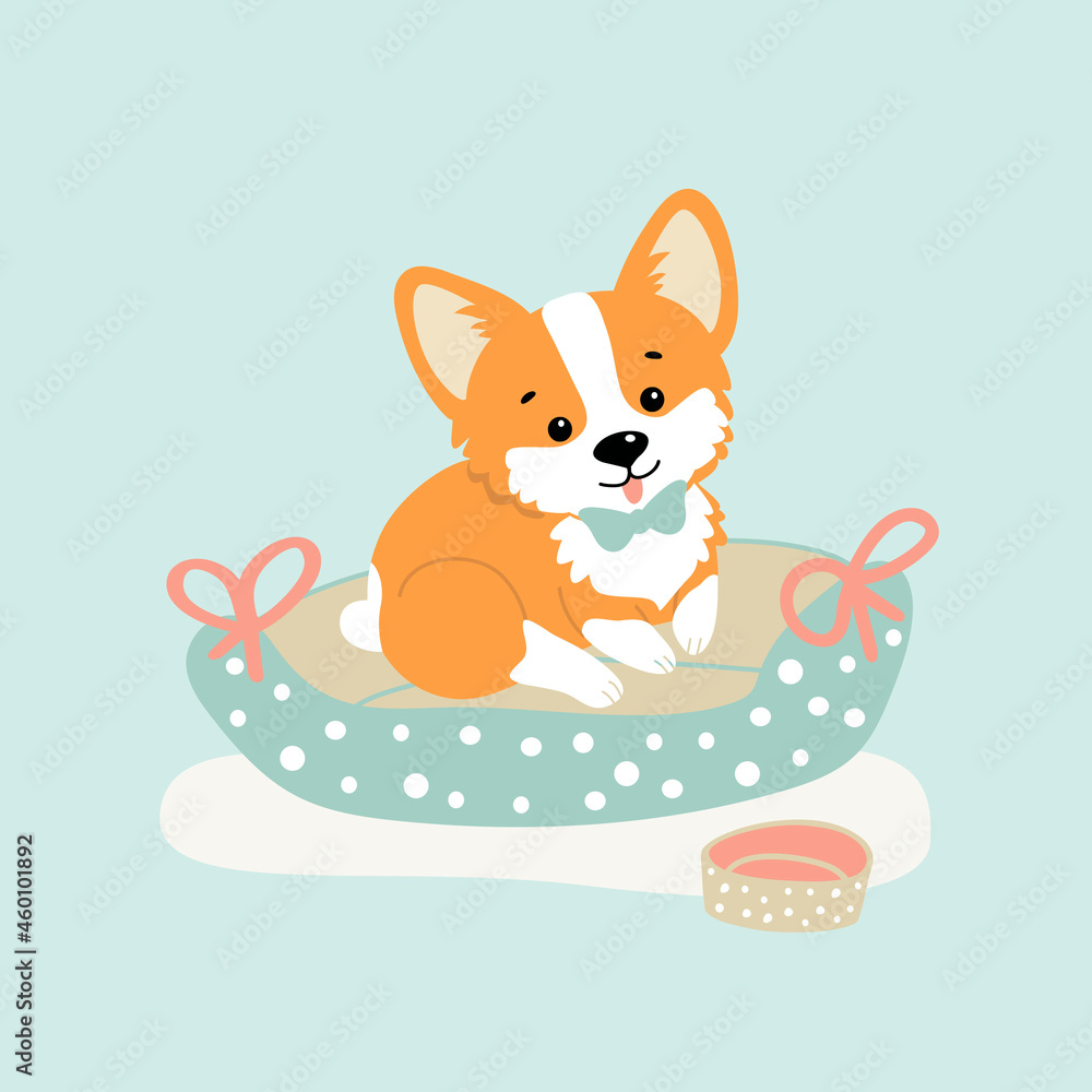 Fototapeta premium vector illustration pet dog corgi in a bed, drawing in cartoon style
