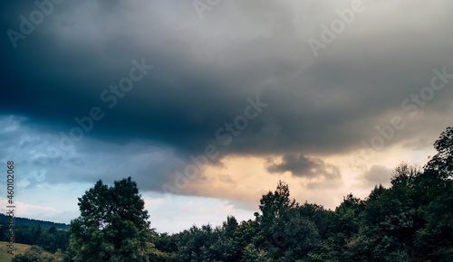 Obraz na płótnie Cloud over the trees w salonie