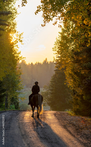 Woman horseback rides on the country road at sunset