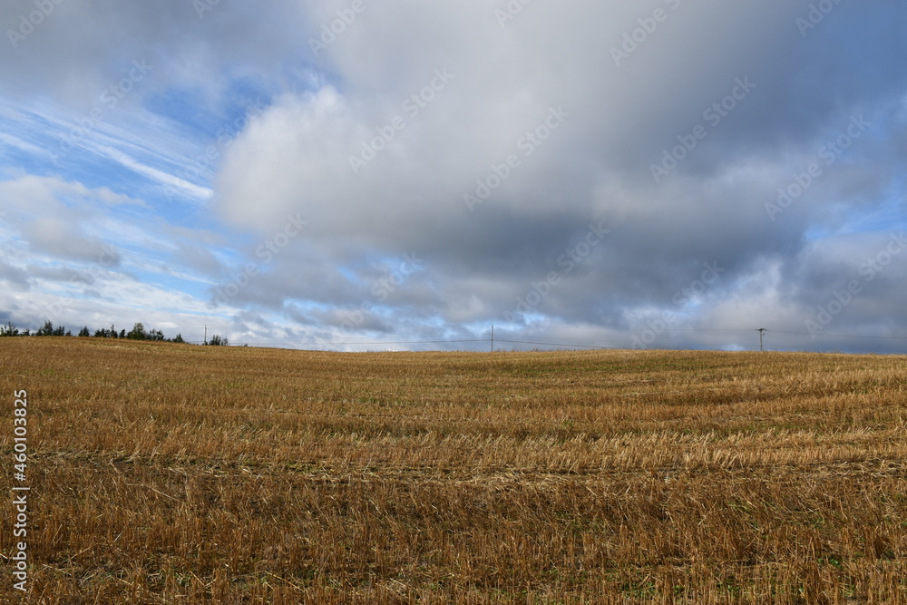 A field after harvest, Sainte-Apolline, Québec, Canada