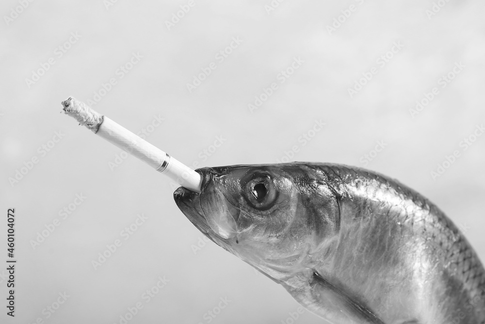 cigarette fish Trout Smoking a Vintage Poster Art Funny Retro Whimsical Print Cabin Wall Decor Outdoor Sports Fisherman Illustration Gift for Dad Keep - The wrong kind