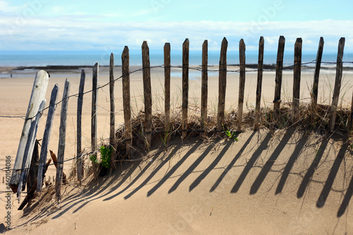 peaceful scene of old wooden fence in sand dunes with beach background