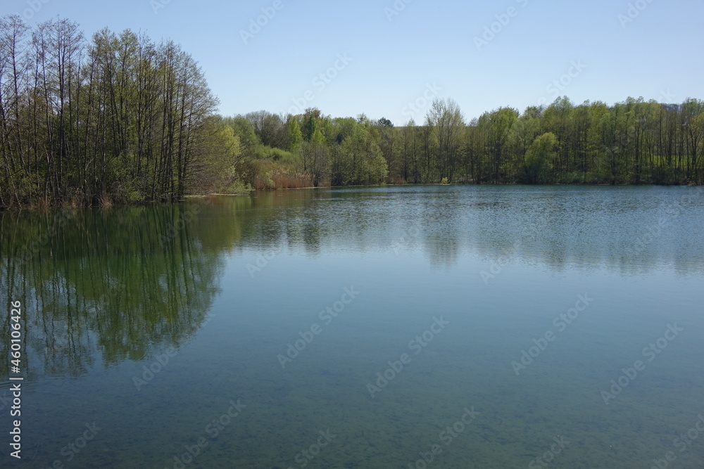 Small lake in natural protection habitat under a clear spring sky, Göcklingen, Rhineland Palatinate, Germany