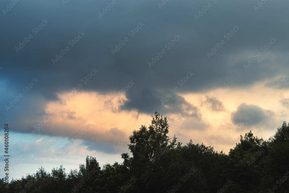 Clouds over the trees