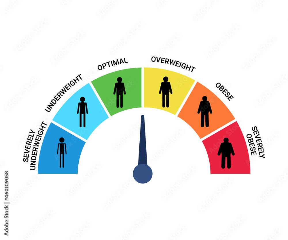bmi-categories-chart-body-mass-index-and-scale-mass-people-severely