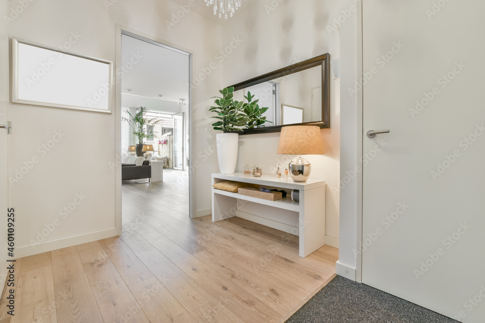 Contemporary hall interior with mirrors at home Contemporary hall interior with mirrors at home